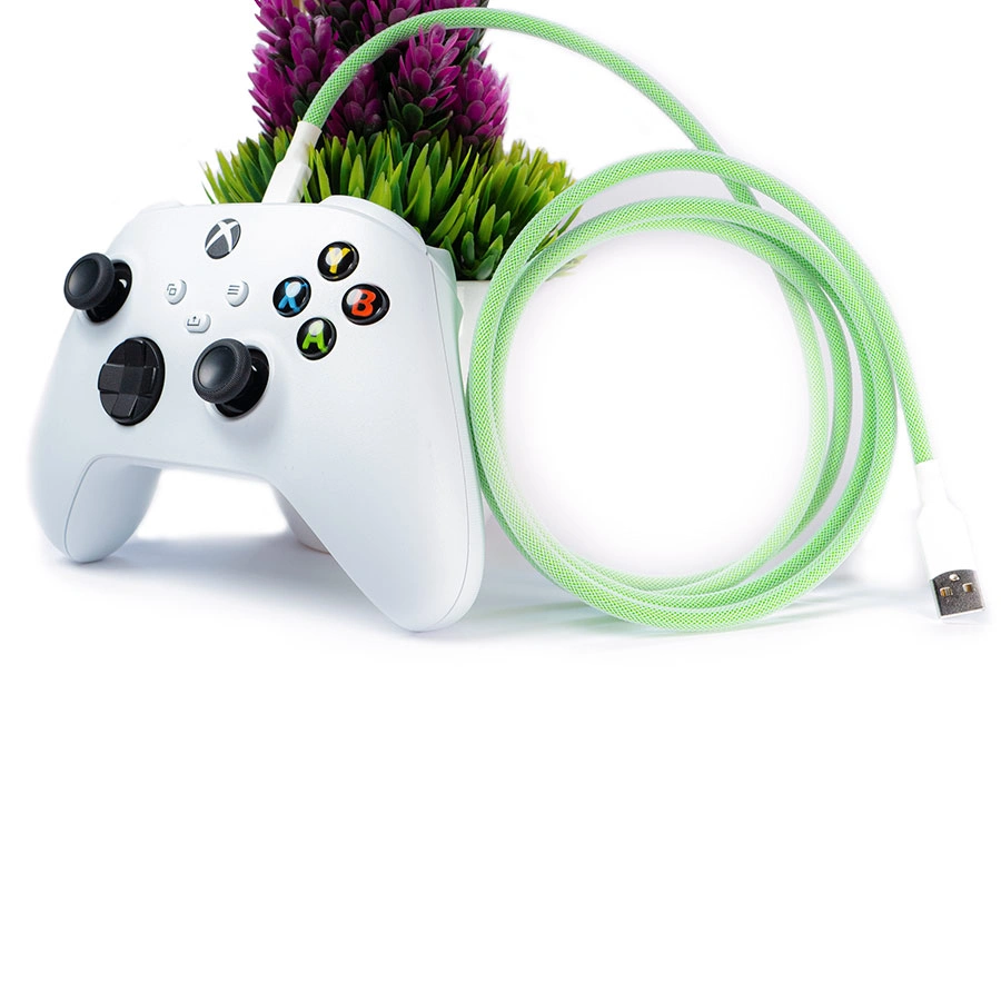 Custom straight keyboard cable plugged xbox controller A Custom straight keyboard cable plugged Xbox controller with a green braided USB cable is in front of a plant with green and purple leaves on a white background.